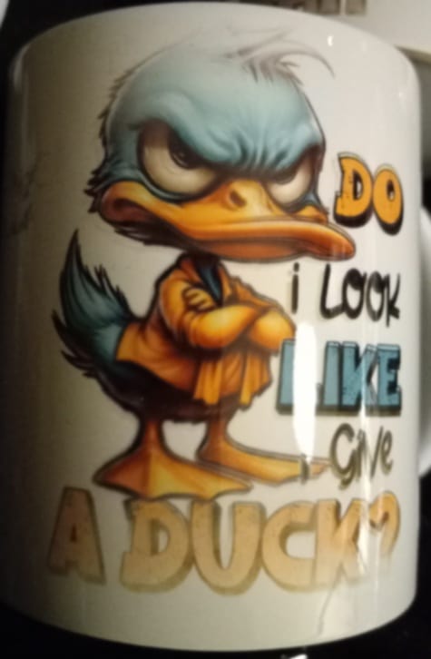 Do I look like I give a duck? Coffee mug